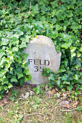 Feldstein Feld Nr. 35