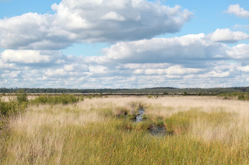 blue cloudy sky over marsh