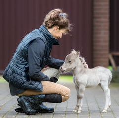 HF NOBLE'S GULLIVER - world's smallest horse and his Owner. Tiny foal measuring just 31 cm tall. American miniature horse.