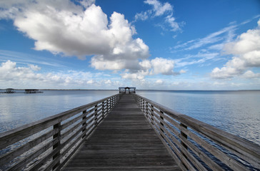 Obraz premium St John's river