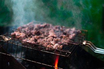 Barbecue cooking in the forest on a blurred background.