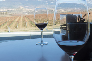 Wineyard sited in la rioja spain