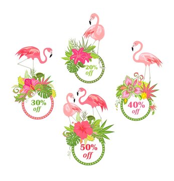 Offer for summer sale with beautiful floral labels and flamingo