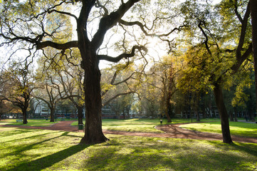 Dawn at the park