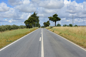 Viajar pela estrada de asfalto