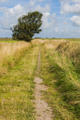 Fototapeta na wymiar Hiking Path Texel