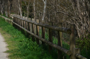Fototapeta premium Barrière en bois .