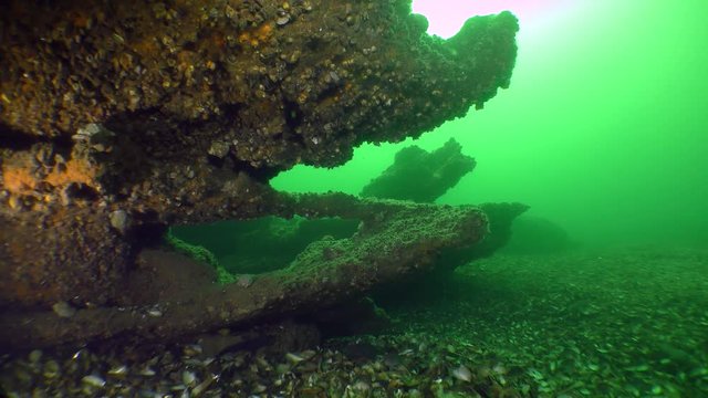 Interesting underwater terrain: limestone rocks form a fantastic landscape.
