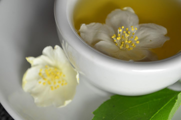 Obraz na płótnie Canvas jasmine tea fresh flowers
