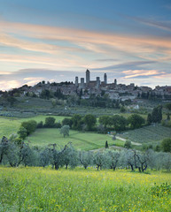 Evening glory in Tuscany in Italy