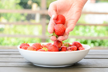 Strawberries on a white plate