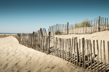 Obraz premium Dunes de l'Espiguette