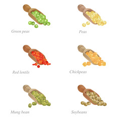 Six shovels with different legumes in them / There are shovels with green peas, red lentils, mung beans and other popular legumes
