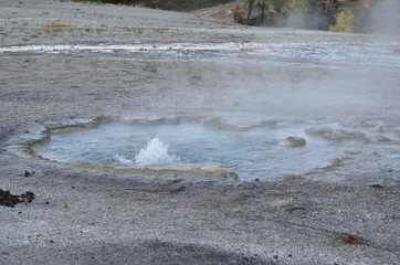 Yellowstone
