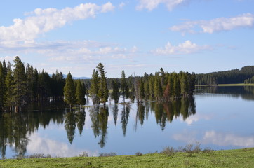 Yellowstone