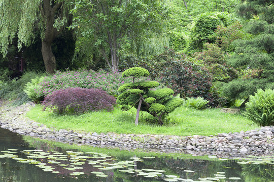 Japanese Garden, exotic plants, Wroclaw, Poland