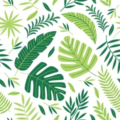 Foto op Aluminium Monstera seamless pattern with tropical plants - vector illustration, eps  