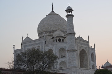 Fototapeta na wymiar Taj Mahal from back 