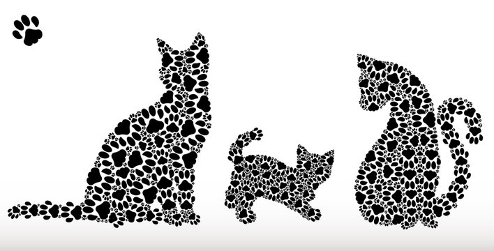 Silhouettes of cats and kitten of traces of cat paws.