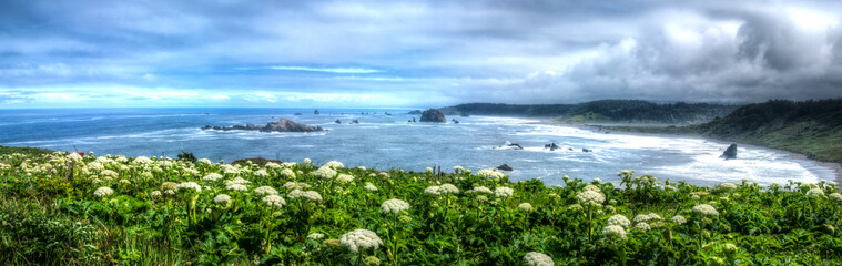 Oregon Coast Panorama