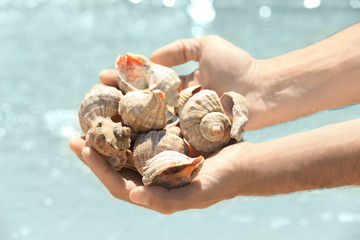 Male hands with sea shells on a beach