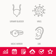 Virus, urinary bladder and ear icons. Medical mirror linear signs. Edit document, Calendar and Graph chart signs. Star, Check and House web icons. Vector