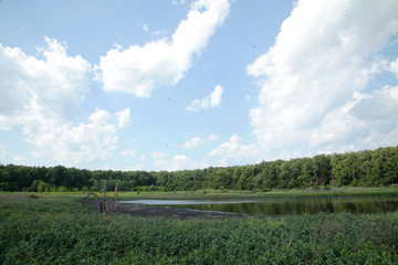 Obraz premium Lake for drying sewage. Septic Dirty waste water in sewage plant. 