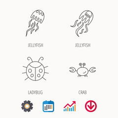 Jellyfish, crab and ladybug icons. Ladybird linear sign. Calendar, Graph chart and Cogwheel signs. Download colored web icon. Vector