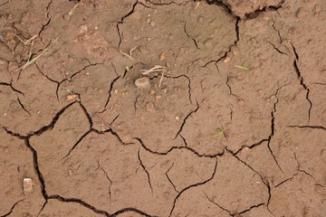 Cracked ground floor dirty and wet in nature background