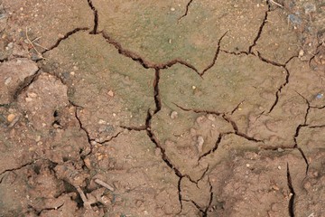 Ground cracked dirt and wet