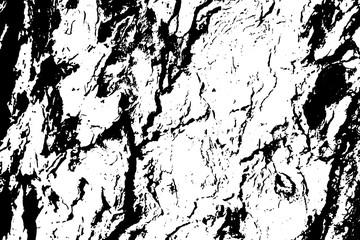 Distressed tree bark vector texture. Black and white bark ornament.