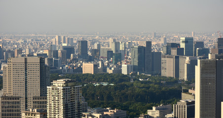 Fototapeta premium 日本の東京都市景観（千代田区方面などを望む）