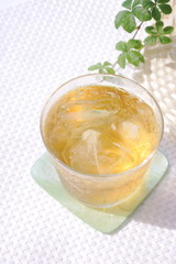 冷たいほうじ茶