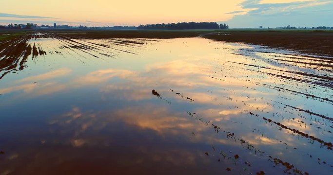 Flying low over flooded, muddy farm fields in Springtime at dawn.
