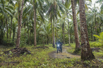 Motorcycle adventure with coconut trees