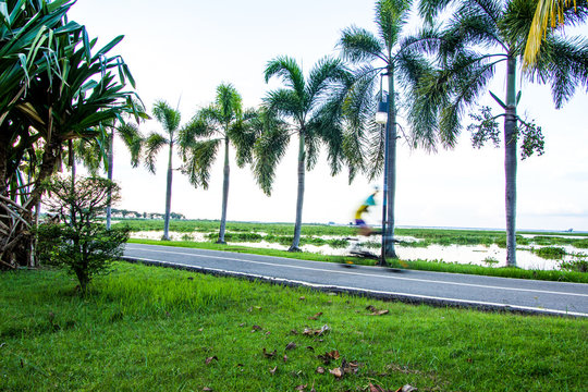 Naklejki Park, street, bike