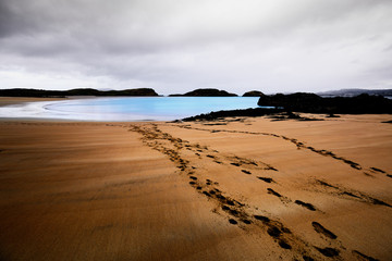 Strand im Ards Forest Park in Donegal Ireland