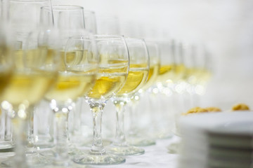 a row of glasses filled with champagne are lined up ready to be served. Selective focus