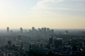 日本の東京都市風景（新宿の高層ビル群などを望む）