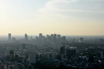 Poster 日本の東京都市風景（新宿の高層ビル群などを望む） © Ryuji