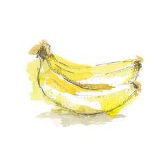 Watercolor sketch of isolated banana