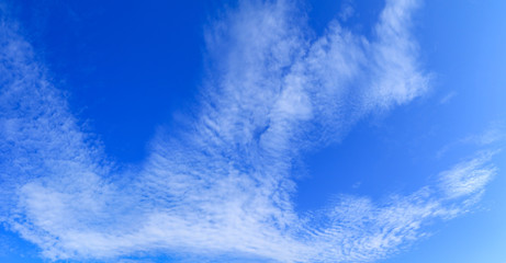 Naklejka na ściany i meble panorama sky and storm cloud summer time beautiful background