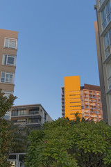 Apartment buildings at Pyrmont in Sydney, Australia. Apartment blocks Sydney, Australia