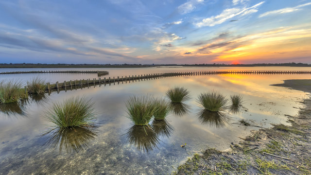 New ecological wet berm banks