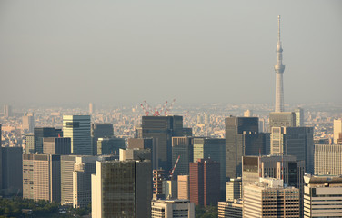 日本の東京都市風景・夕方（丸の内や大手町のビジネス街を望む）