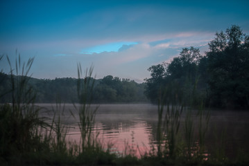 Beauty is Everywhere