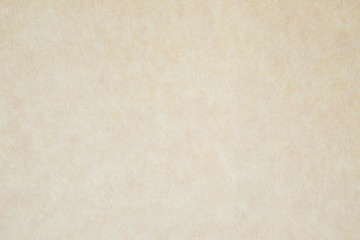 The texture of  mulberry paper background.