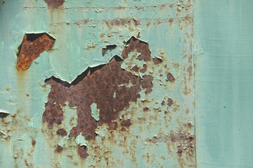old green plate