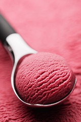 Obraz na płótnie Canvas Fruit ice cream