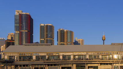 Fototapeta na wymiar Jones Bay wharf in Sydney with skyscrapers in the background